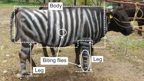 Zebra Cows and Slippery Edibles Secure Humorous Academic Prizes